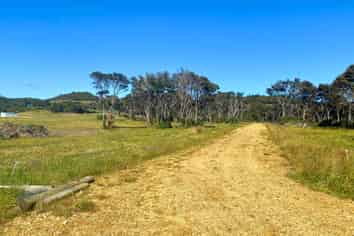 Lot 3/161 Wharariki Road, Collingwood