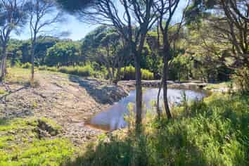 Lot 3/161 Wharariki Road, Collingwood