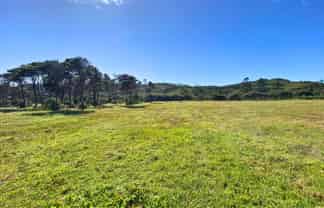 Lot 3/161 Wharariki Road, Collingwood