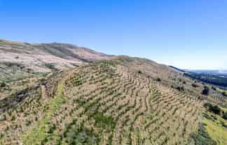  Sinclair Forest, Balclutha