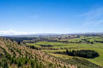  Sinclair Forest, Balclutha