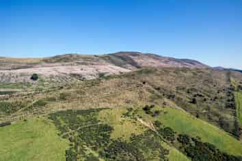 Sinclair Forest, Balclutha