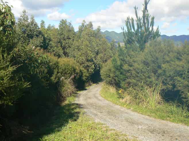340 Duddy Road, Kaikohe