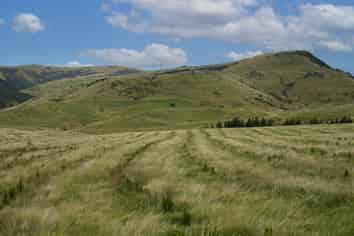  Perkins Forest, Mataura