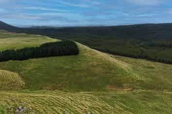  Perkins Forest, Mataura