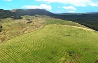  Perkins Forest, Mataura