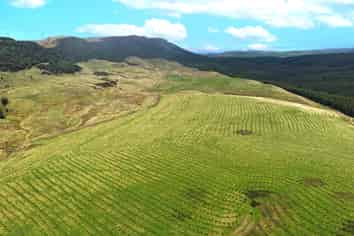  Perkins Forest, Mataura