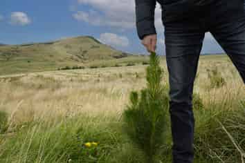  Perkins Forest, Mataura