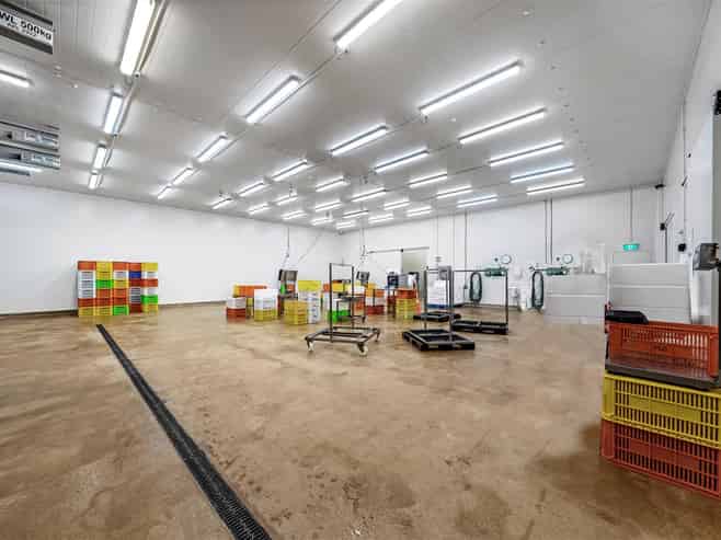 East Tamaki Industrial with Income & Upside