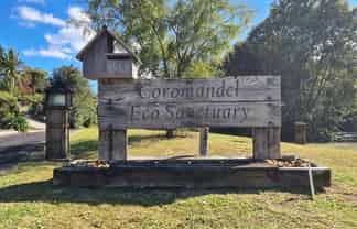 395B Driving Creek Road, Coromandel