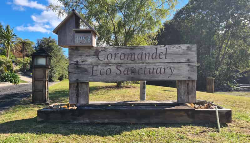 395B Driving Creek Road, Coromandel