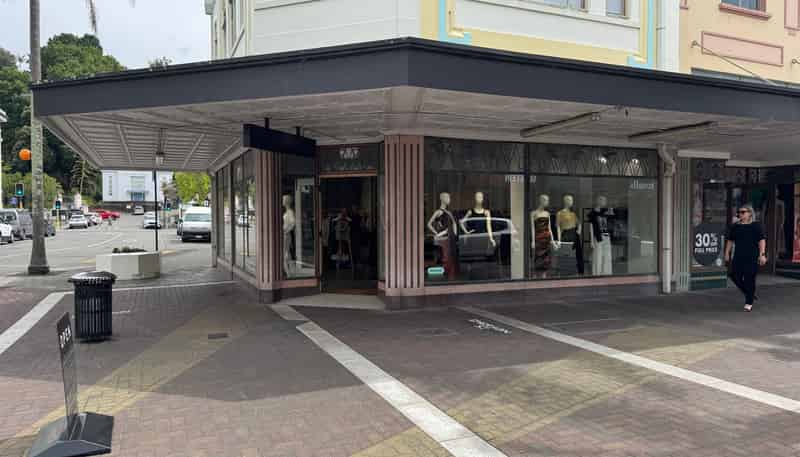 172 Emerson Street, Napier South