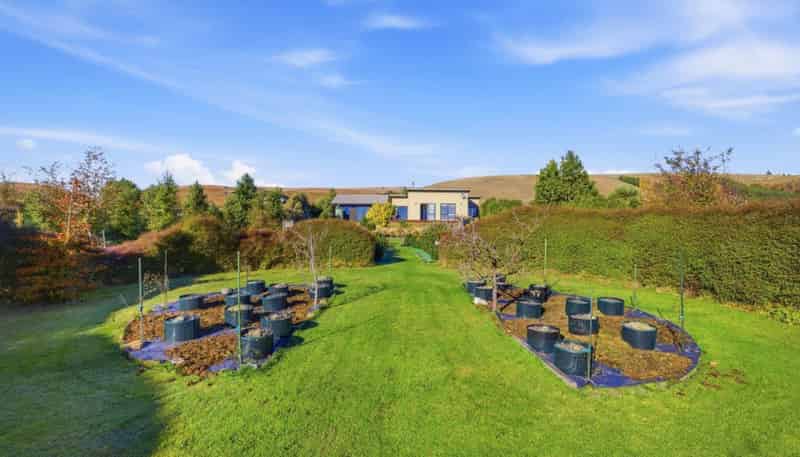 38 Princes Street, Waikari