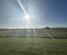 661 Cornwall Road, Carterton, Carterton, Wairarapa
