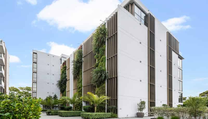 204/10 St Marks Road, Remuera