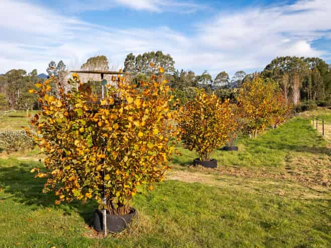 1830 Waikouaiti-Waitati Road, Waitati