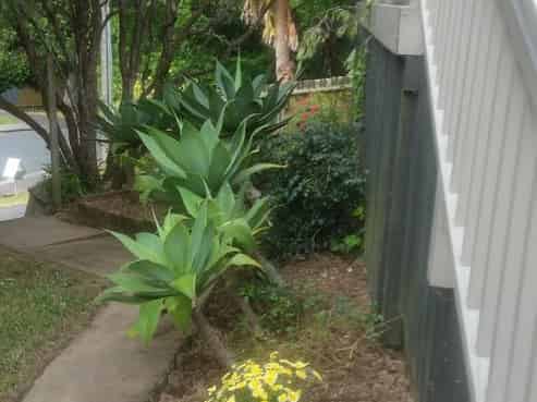 25 Homestead Road, Manly