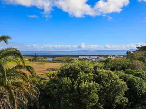 121 Herewaka Street, Thames