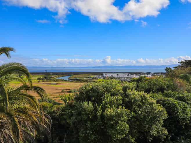 121 Herewaka Street, Thames