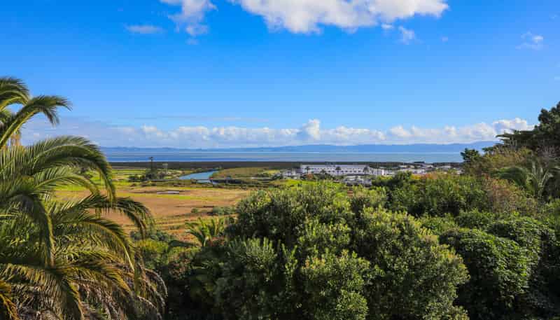 121 Herewaka Street, Thames
