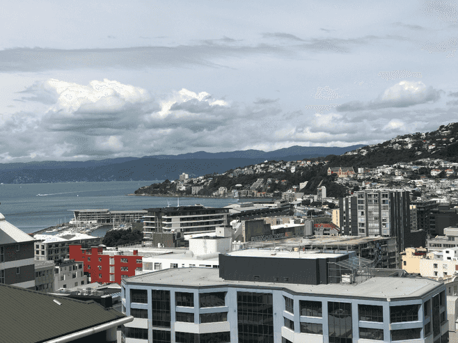 1702A/111 Dixon Street, Te Aro