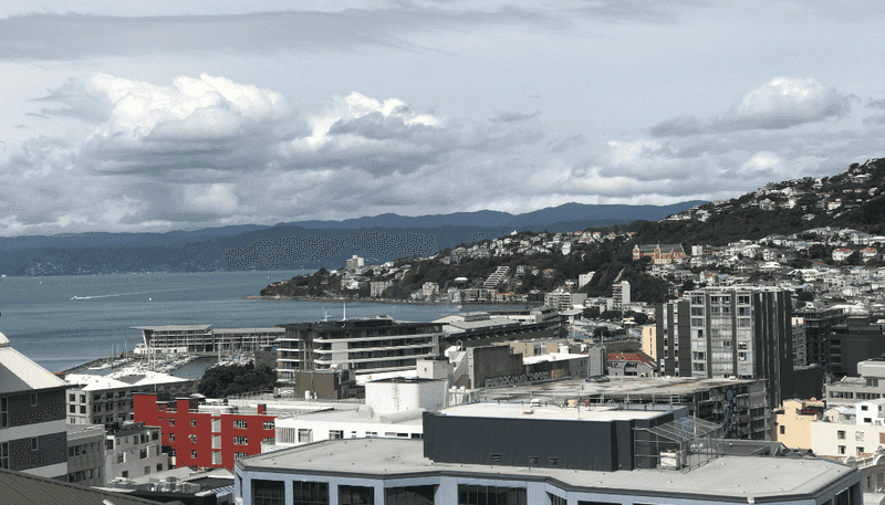 1702A/111 Dixon Street, Te Aro