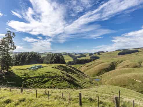 467 Waitahora Valley Road, Dannevirke