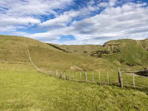 467 Waitahora Valley Road, Dannevirke