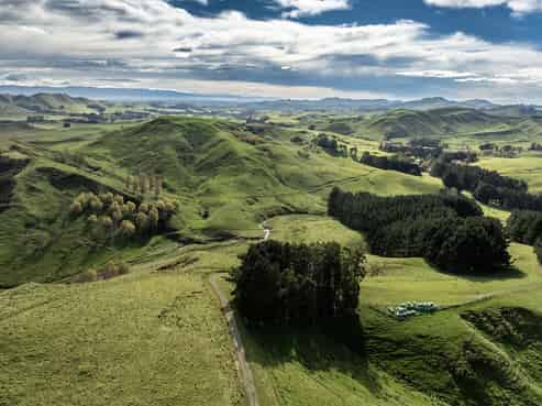467 Waitahora Valley Road, Dannevirke