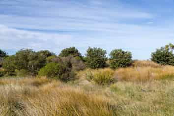 7 Nunu Drive, Flat Point