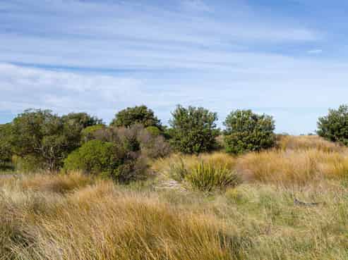 7 Nunu Drive, Flat Point