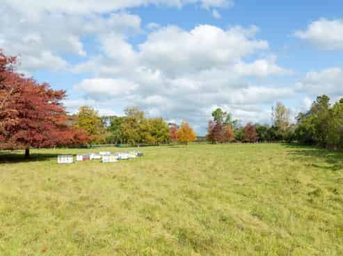 Lot 2, 30 Market Road, Greytown