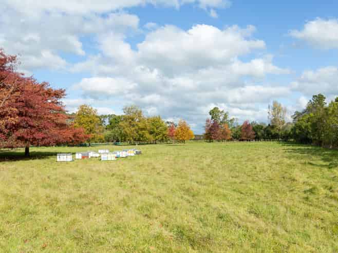 Lot 2, 30 Market Road, Greytown