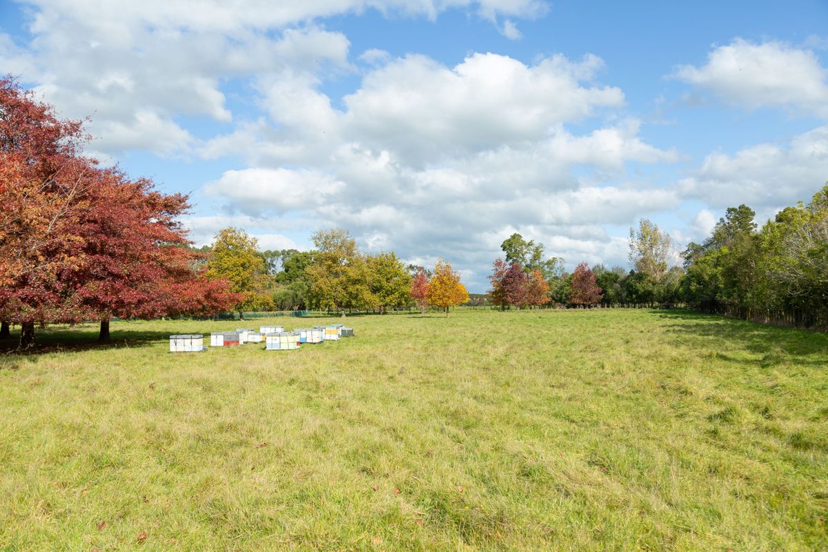 Lifestyle, location & development potential - Ansicht 3