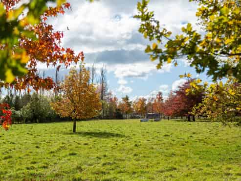 Lot 2, 30 Market Road, Greytown