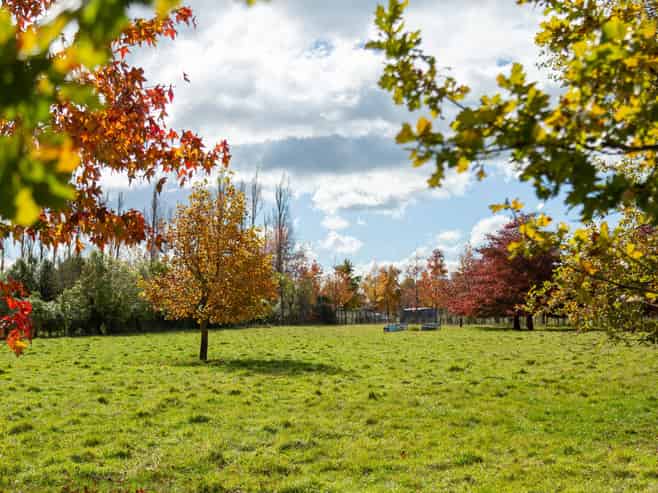 Lot 2, 30 Market Road, Greytown