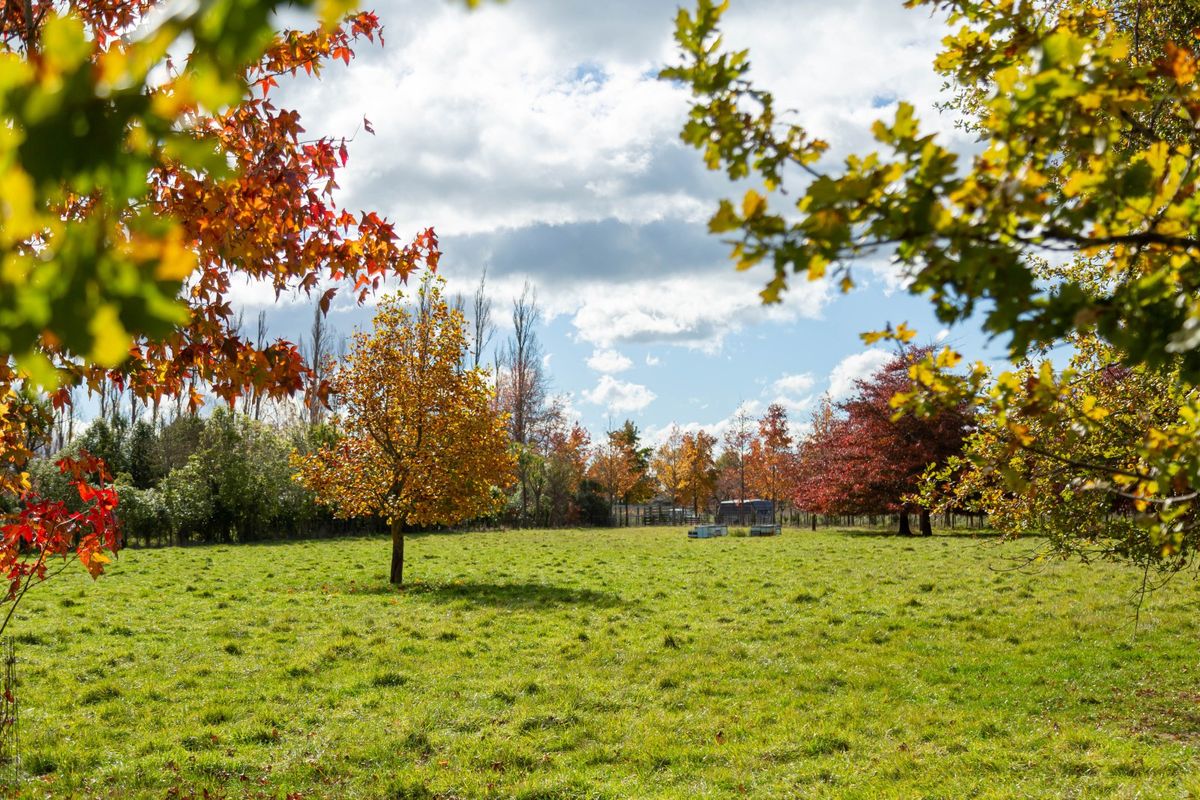 Lifestyle, location & development potential - Ansicht 5