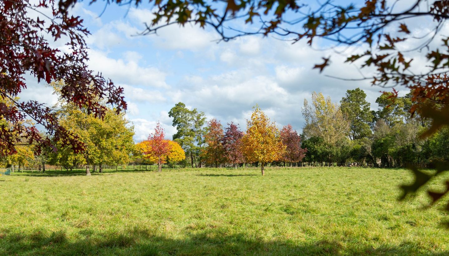 Lot 2, 30 Market Road, Greytown, South Wairarapa, Wairarapa