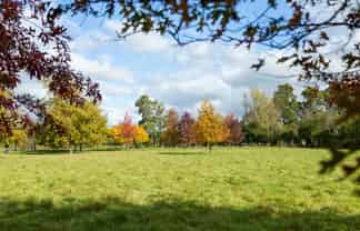 Lot 2, 30 Market Road, Greytown