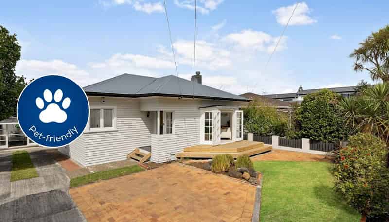 20 Alberta Street, Point Chevalier