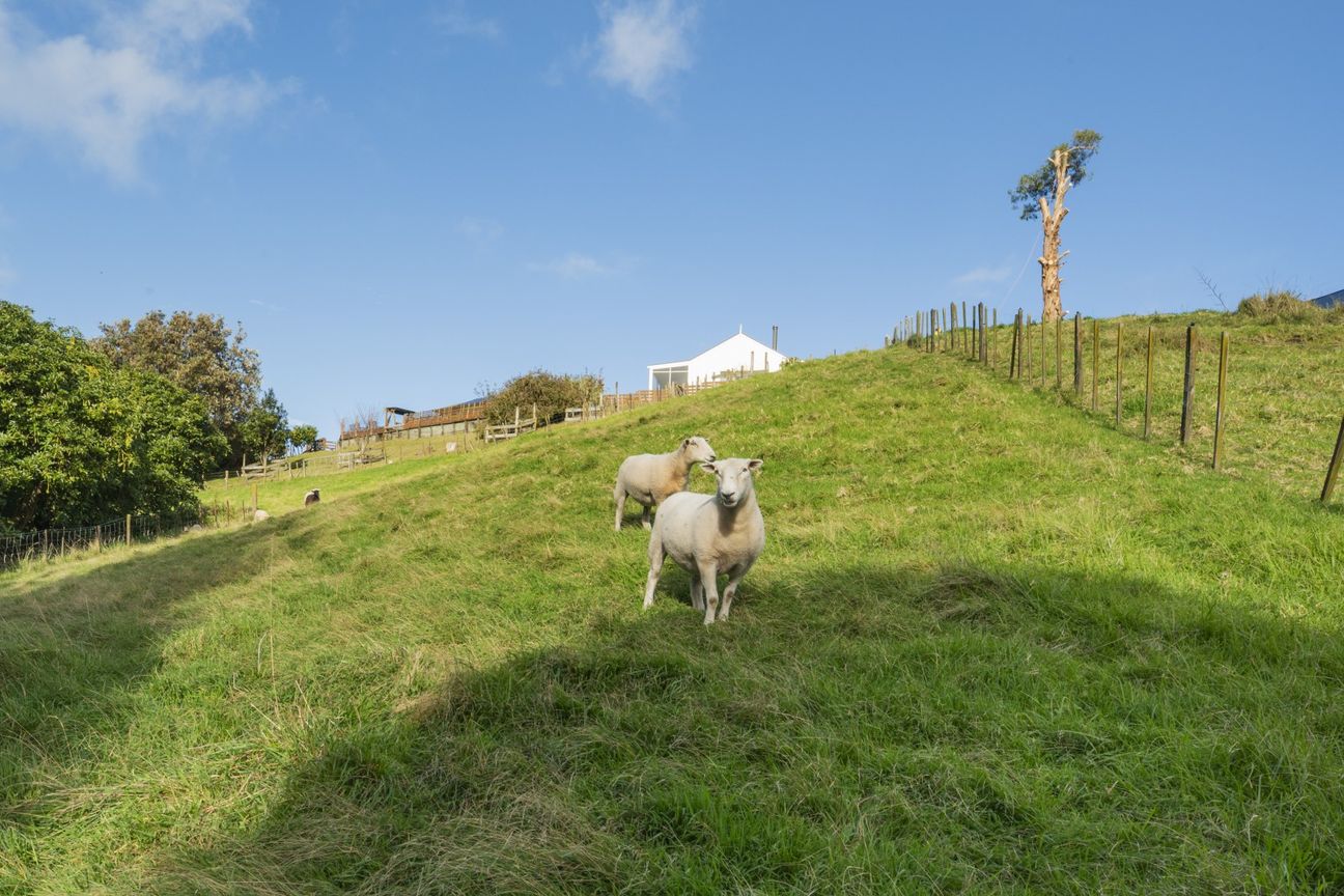 Supplementary Income, Family home & room to graze. - Aanzicht 2
