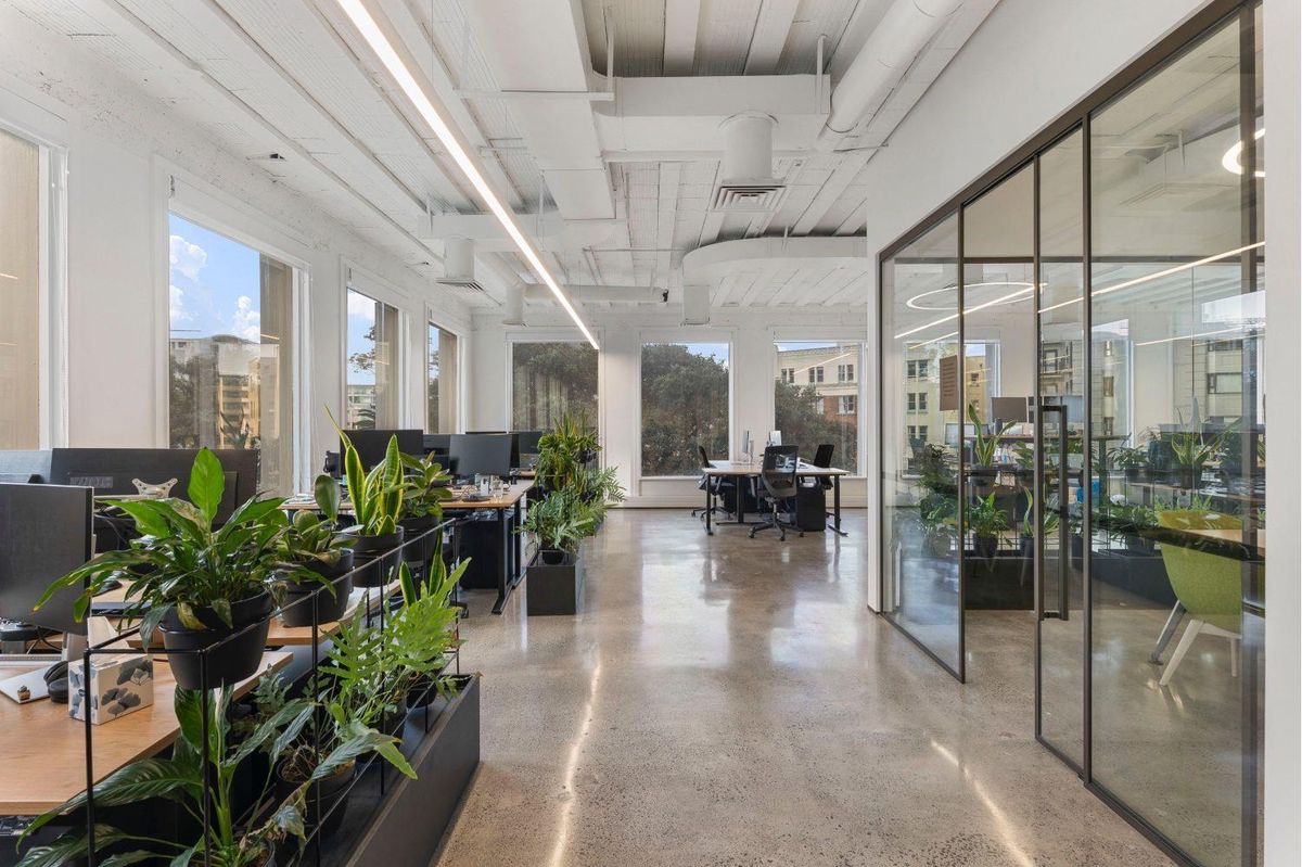 CBRE – POLISHED ON PRINCES ST - Ansicht 2