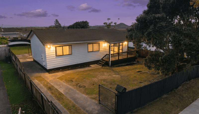 113 Finlayson Avenue, Clendon Park