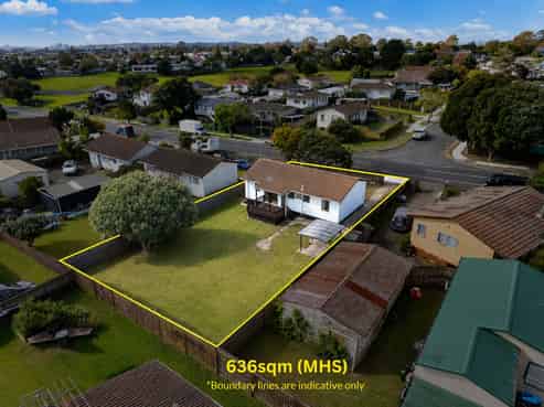 113 Finlayson Avenue, Clendon Park