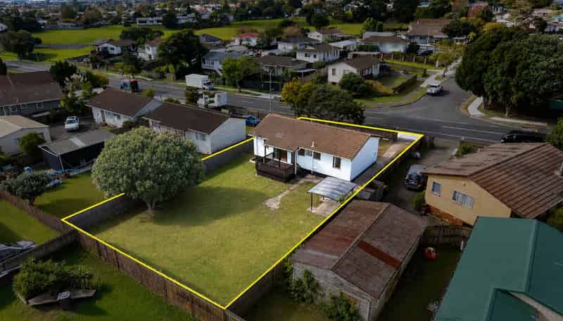 113 Finlayson Avenue, Clendon Park