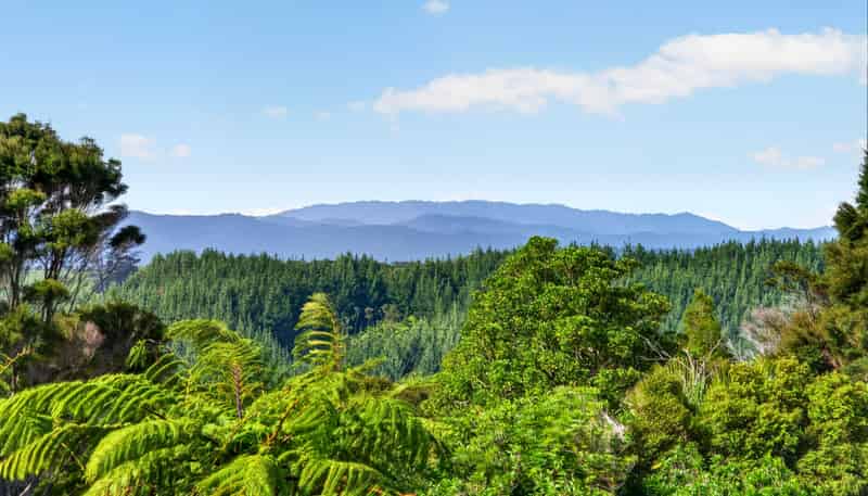 900 Hunua Road, Hunua