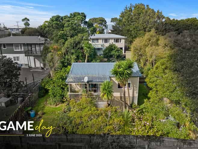 184 Don Buck Road, Massey