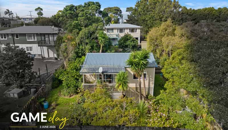 184 Don Buck Road, Massey