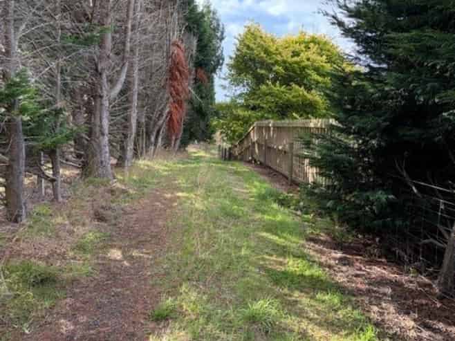 190 Otatara Road, New River Ferry