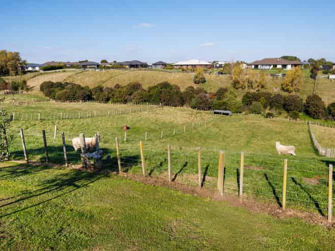 29 Wapiti Avenue, Feilding